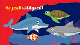 Learn Sea Animals Names - الحيوانات البحرية للأطفال باللغة العربية