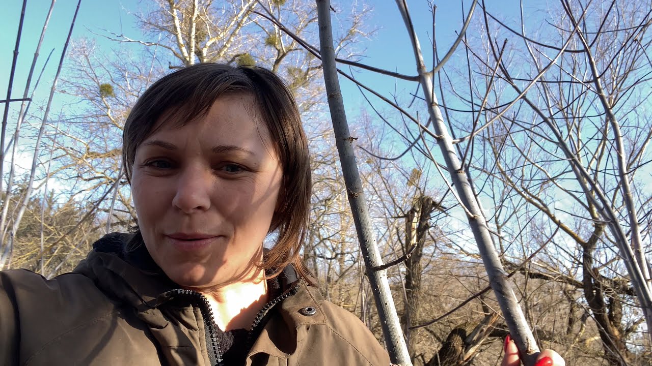 Всих з першим березнем