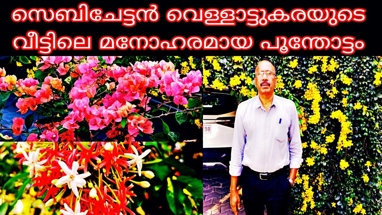 സെബിചേട്ടൻ വെള്ളാട്ടുകരയുടെ വീട്ടിലെ മനോഹരമായ പൂന്തോട്ടം #lijothattilvlogs #garden #flowers #viral