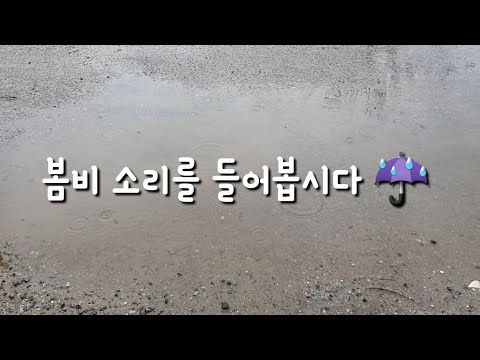 봄비 소리를 들어봅시다