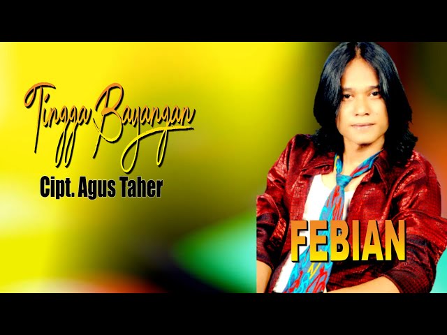 LAGU KEREN FEBIAN || TINGGA BAYANGAN || Karya AGUS TAHER class=