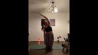 45 min Moonlight Yoga Flow