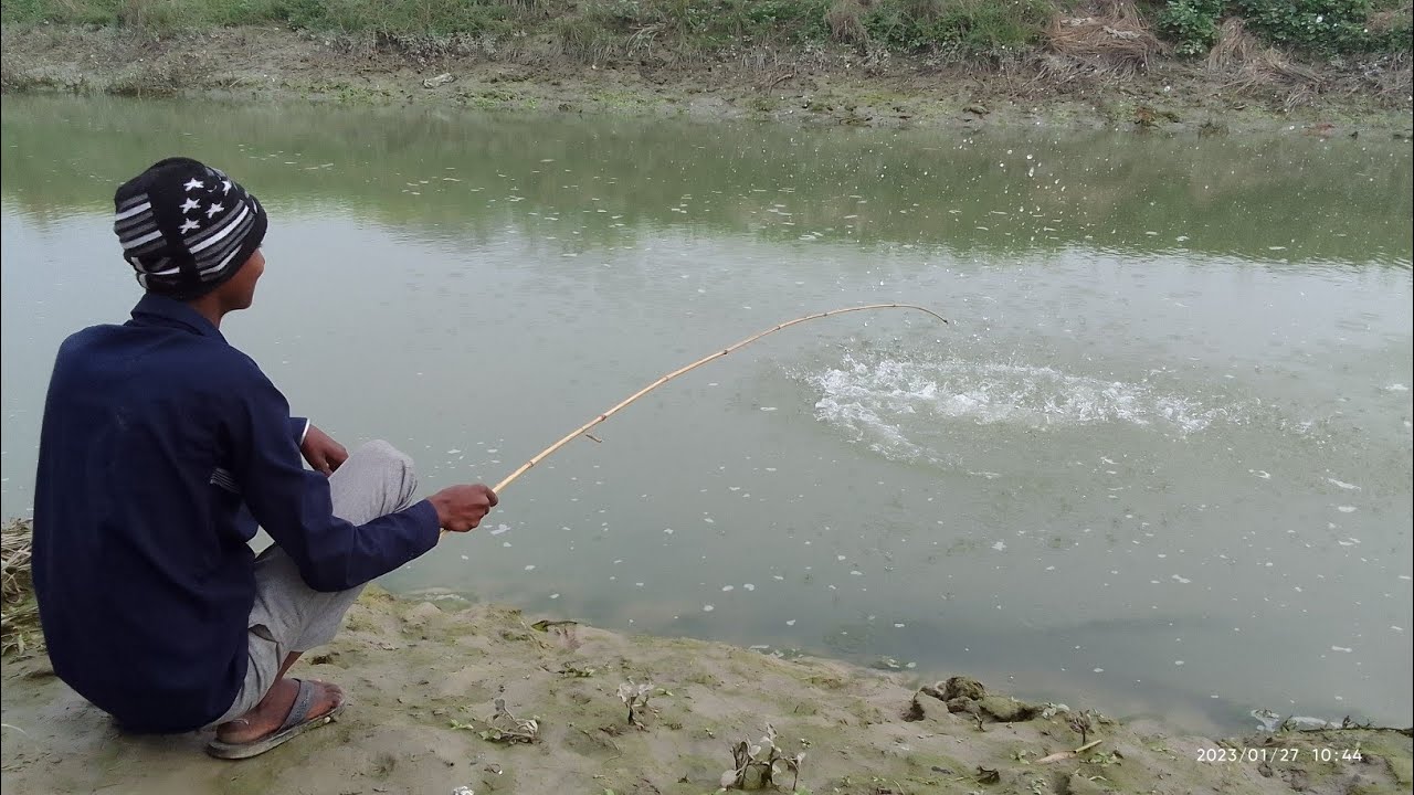 Best Hook Fishing video 2023 Catching fish By Hook Village fishing in Beautiful Natural 🤩🥰 YouTube