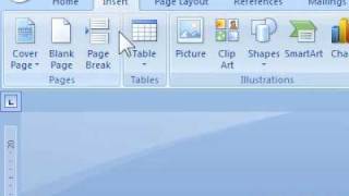 How to insert an equation into Word