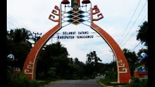 New Telaga Music Tanggamus '