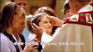 8 성품 Sacraments 101 Holy Orders what ordination means