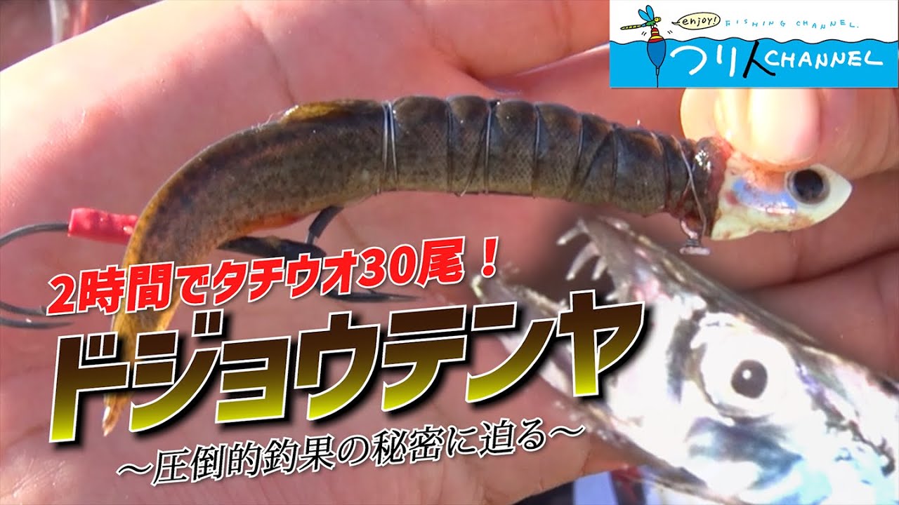 「2時間で30尾！オカッパリでタチウオ爆釣!?」釣り名人の秘密を暴け！第29回