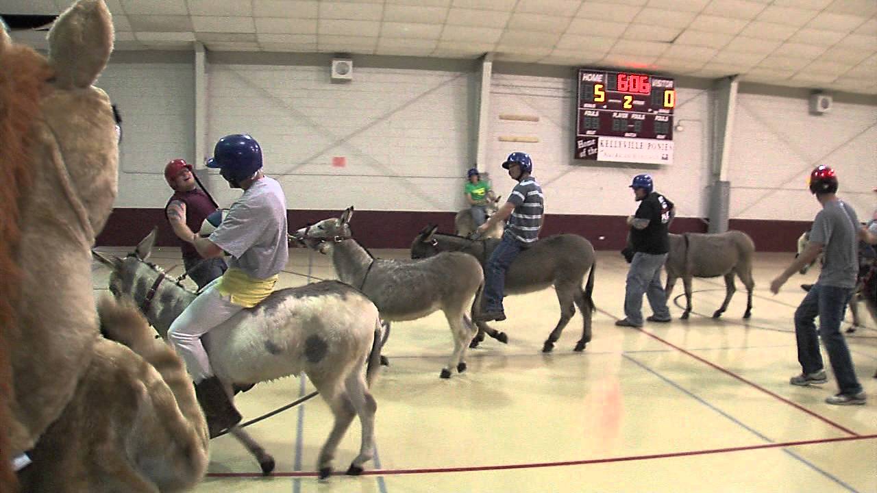 Donkey Ball YouTube