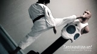 Take Action Now! | Taekwondo Kicking and Training Sampler | TaekwonWoo
