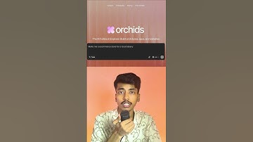 This AI website builder will generate clean UIs