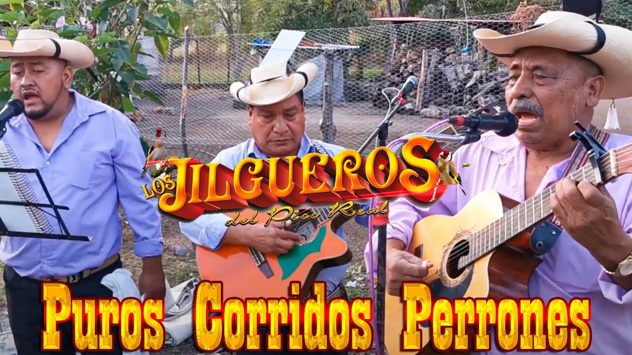Mix 20 Corridos De La Sierra Los Mas Pedidos Del - Los Jilgueros Del Pico Real