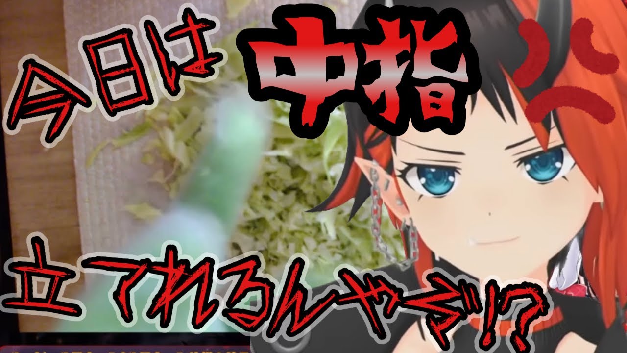 実写カメラ配信でテンションがおかしいリンちゃま【 龍ヶ崎リン / シュガリリ/切り抜き】