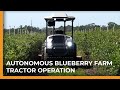Blueberry farm autonomous tractor demo  monarch tractor