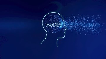Features Analytics eyeDES® Streamlined Machine Learning™ platform for risk and fraud management