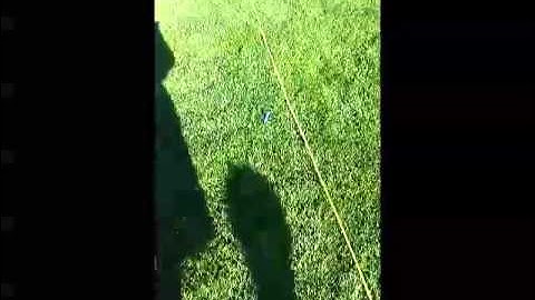 NERF RETALIATOR WITH OMW KIT RANGE TEST