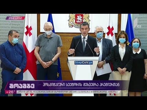 ჰოსპიტალური სექტორის შეხვედრა პრემიერთან