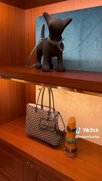 Goyard Saigon PM review & how it compares with Hermes Kelly