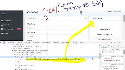 Laravel Cannot Access Image Stored in Storage Folder after Uploading in Server