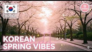 Download lagu 🌸🇰🇷 Korean Spring Vibes — Cherry Blossom Music Mix | musicsiksik