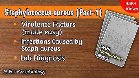 Staphylococcus aureus (part-1) | Virulence factors | Infections | Clinical features | Lab diagnosis