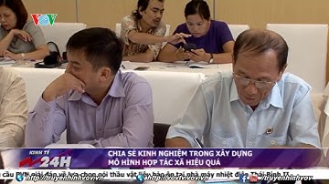 Chia sẻ kinh nghiệm trong xây dựng mô hình hợp tác xã hiệu quả | VOVTV