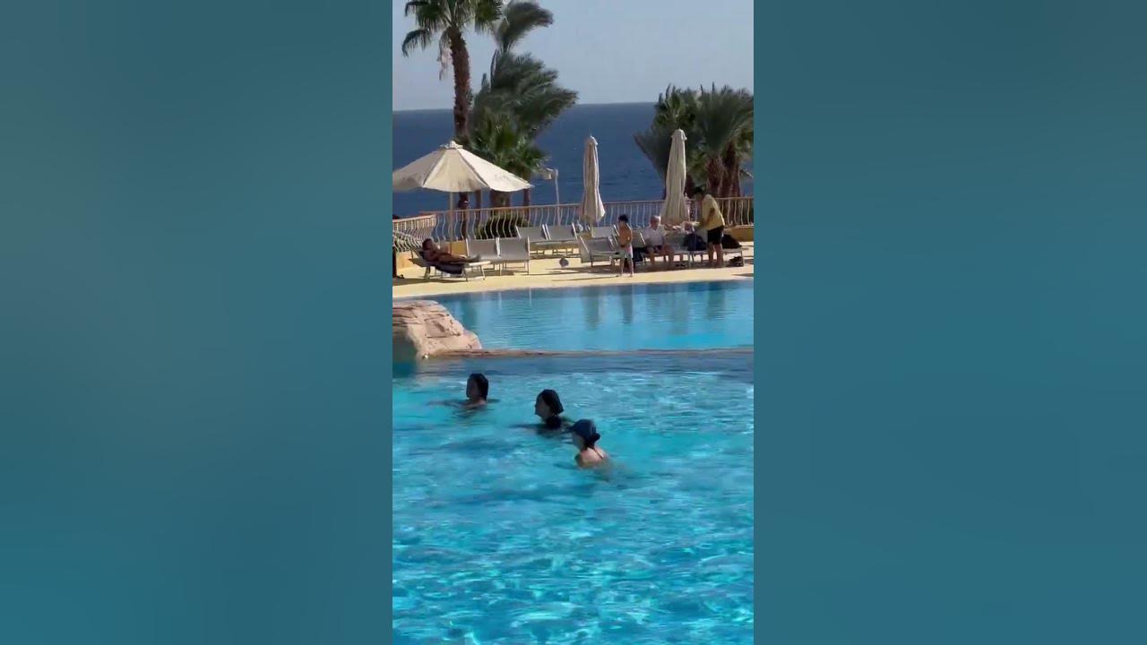 Савой в Шарм Эль Шейхе Лев