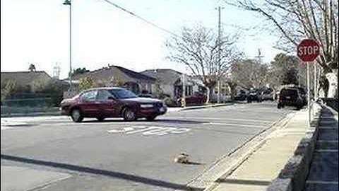 rc18r 8celled vid 85% throttle  18r rc18t 18t