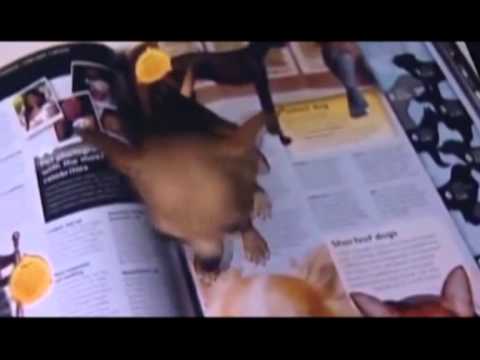 მაღვიძარა-გინესის რეკორდების წიგნი