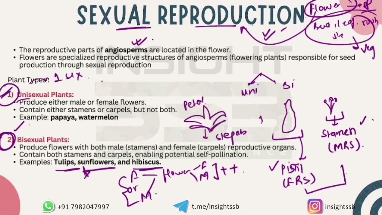 Biology Reproduction Batch: CDS 1 2026 GS Agni Batch