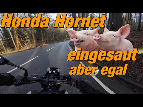 Honda Hornet eingesaut aber egal