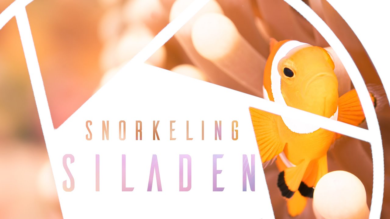 Best Snorkeling Siladen Island, Bunaken, Indonesia - Ultimate Dive Guide to best Places to Visit