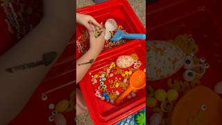 #sensoryplay on a #budget 🪏🫘 #quick #easy #thatcoolmomg #sahm #play ​⁠@amazon @dollartree