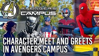 Character Meet and Greets in Avengers Campus at Disney California Adventure