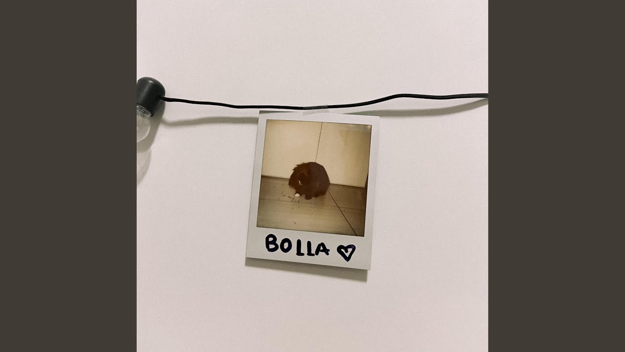 Watch Bolla on YouTube Watch Bolla on YouTube