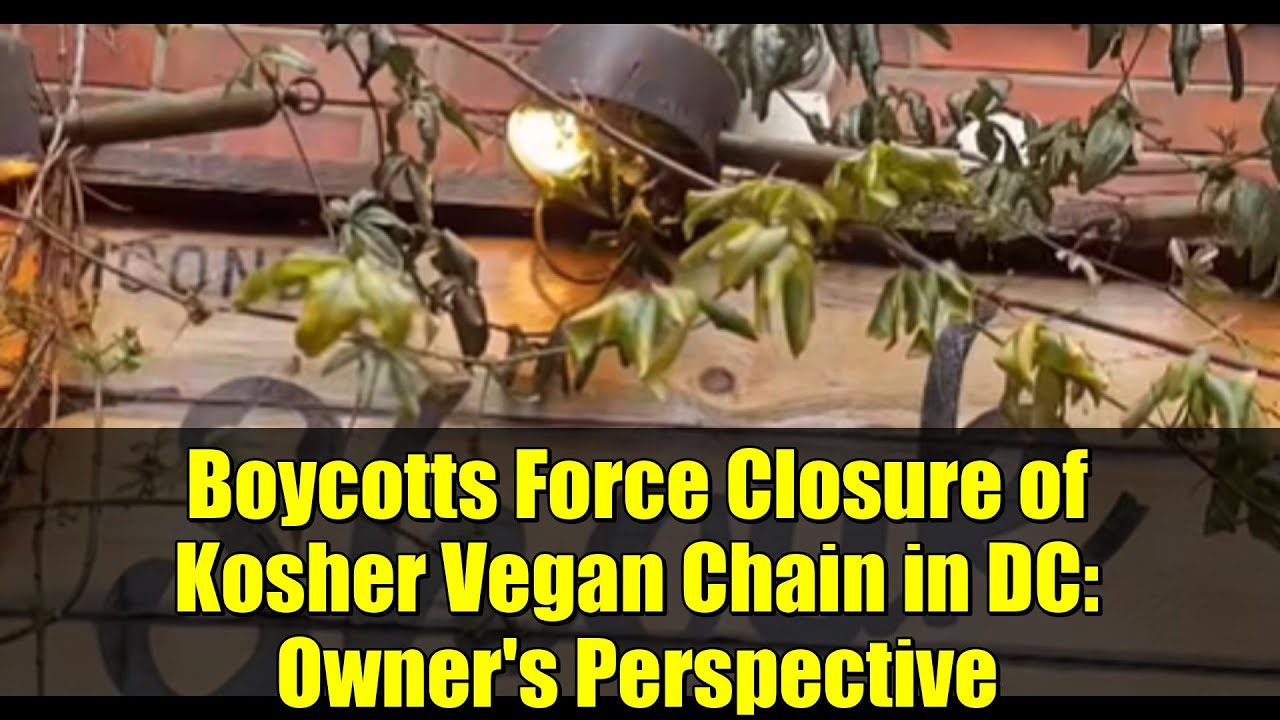 Boycotts Force Closure of Kosher Vegan Chain in DC: Owner's Perspective