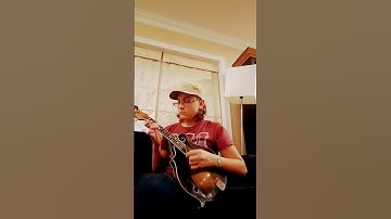 Boil em Cabbage Down