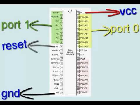 microcontroller  8051  pinouts