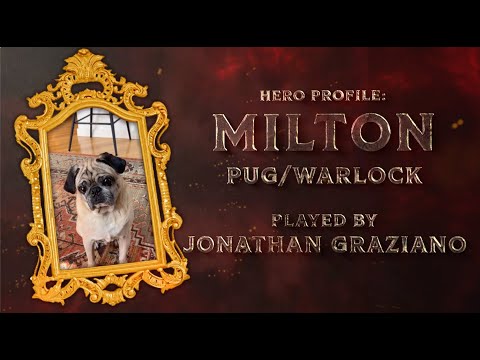 Meet Milton, the Pug Warlock | Puppy Roll Hero Profile