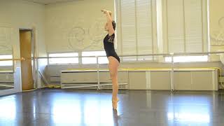 D009-7 Hdw Dance Black Quick Order Lace Cap Sleeve Dance Leotard