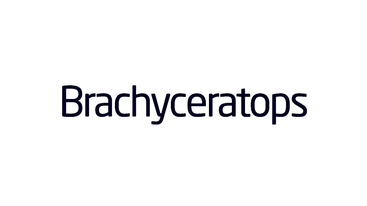 Brachyceratops