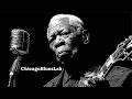 Chicago Blues Lab Candle by Window Old School Whiskey Jazz Blues