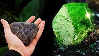 5 Value Gems You Can Easily Find in Your Backyard!