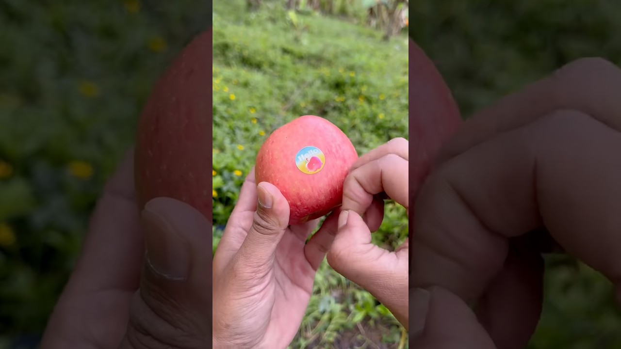 Lifehack 😝😂skills: Removing apple stickers