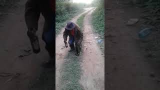 Gogo Eswatini Slwane Is Drunk And Cant Walk Properly