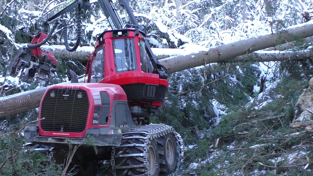 💨🌲Komatsu 931 XC & C144 im Windwurf💨🌲