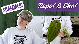 The Scam Story You’ve Been Waiting For… 😬🌿 | Repot & Chat