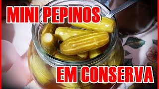 Como Fazer Mini Pepinos Em Conserva Por Beleza Na Cozinha