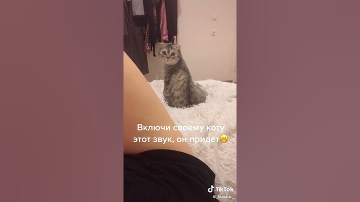 Включи своему коту этот звук, он придёт😸😹