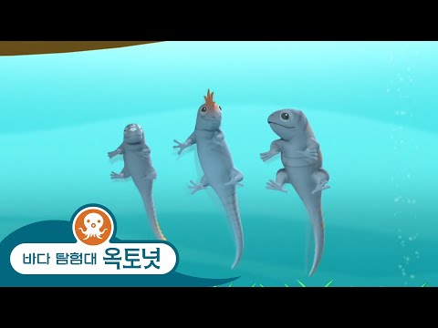 바다 탐험대 옥토넛 - <strong>이구아나의</strong> 침입 - 모음집