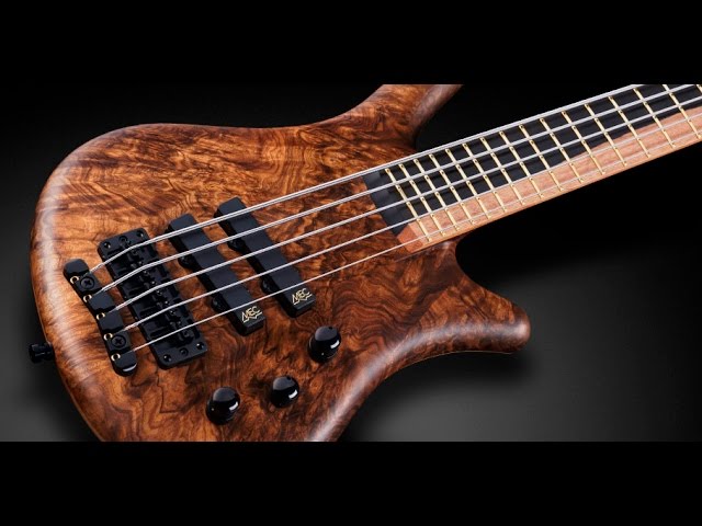 ベース Warwick Custom Shop Basic Thumb Bass Warwick Thumb Bass Custom Shop Limited 2017 - Gitarren Total